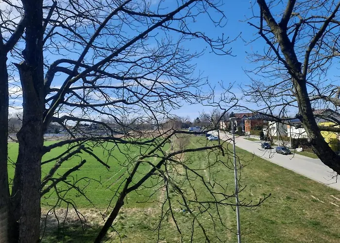 Nadmorski Bursztyn - * 帕克