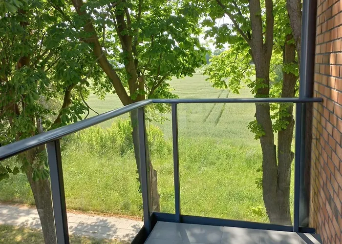 Nadmorski Bursztyn - * 帕克